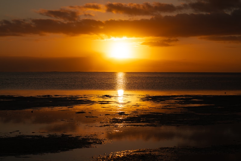 Waterfront Sunsets