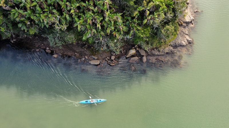 Kayaking & Paddle Boarding